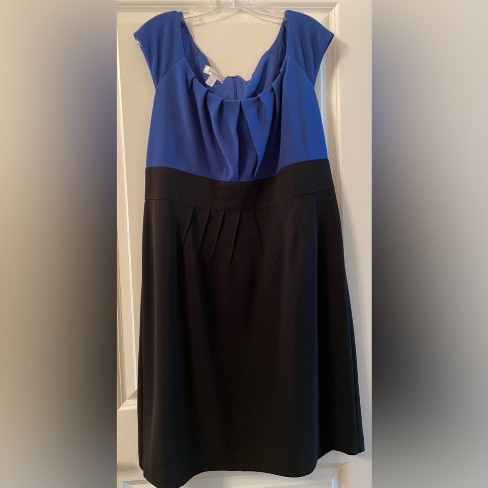 DressBarn professional dress
